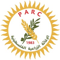 موظف/ة رئيسي ضغط ومناصرة